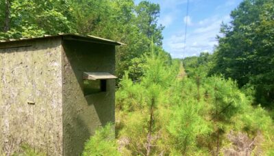 Owner Financed Hunting and Recreational Land in Missouri and Arkansas