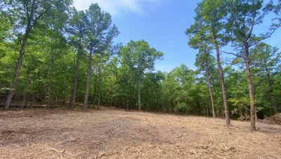 Owner Financed Hunting and Recreational Land in Missouri and Arkansas