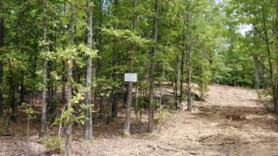 Owner Financed Hunting and Recreational Land in Missouri and Arkansas