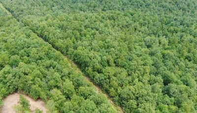 Owner Financed Hunting and Recreational Land in Missouri and Arkansas