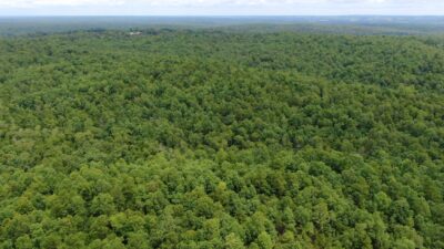 Owner Financed Hunting and Recreational Land in Missouri and Arkansas