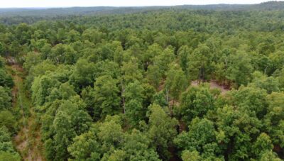 Owner Financed Hunting and Recreational Land in Missouri and Arkansas