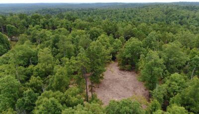 Owner Financed Hunting and Recreational Land in Missouri and Arkansas