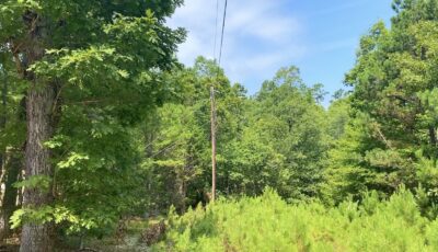 Owner Financed Hunting and Recreational Land in Missouri and Arkansas