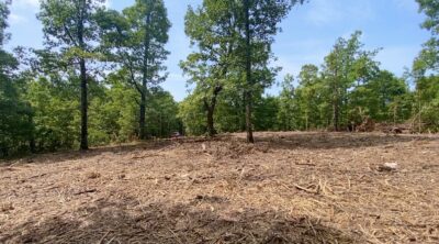 Owner Financed Hunting and Recreational Land in Missouri and Arkansas