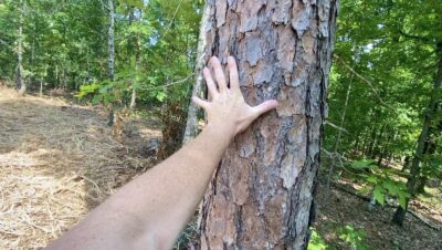 Owner Financed Hunting and Recreational Land in Missouri and Arkansas