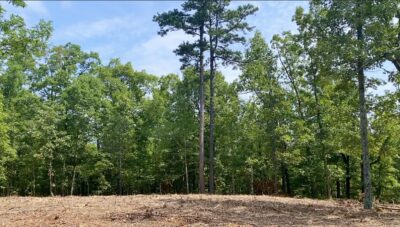 Owner Financed Hunting and Recreational Land in Missouri and Arkansas