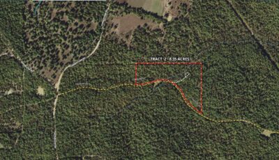 Owner Financed Hunting and Recreational Land in Missouri and Arkansas