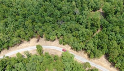 Owner Financed Hunting and Recreational Land in Missouri and Arkansas