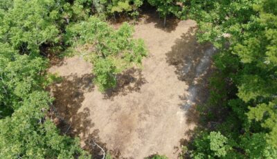 Owner Financed Hunting and Recreational Land in Missouri and Arkansas