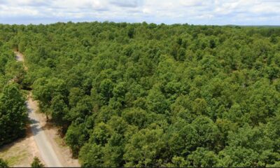 Owner Financed Hunting and Recreational Land in Missouri and Arkansas