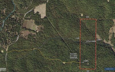 Owner Financed Hunting and Recreational Land in Missouri and Arkansas