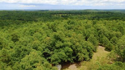Owner Financed Hunting and Recreational Land in Missouri and Arkansas