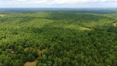 Owner Financed Hunting and Recreational Land in Missouri and Arkansas