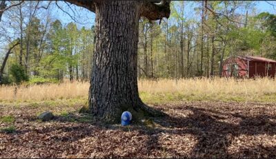 Owner Financed Hunting and Recreational Land in Missouri and Arkansas
