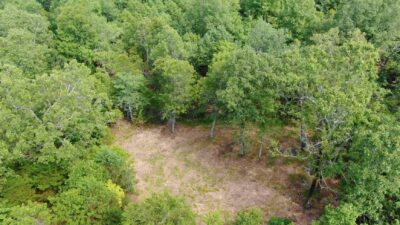 Owner Financed Hunting and Recreational Land in Missouri and Arkansas