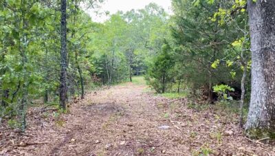 Owner Financed Hunting and Recreational Land in Missouri and Arkansas