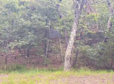 Owner Financed Hunting and Recreational Land in Missouri and Arkansas