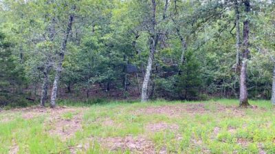 Owner Financed Hunting and Recreational Land in Missouri and Arkansas