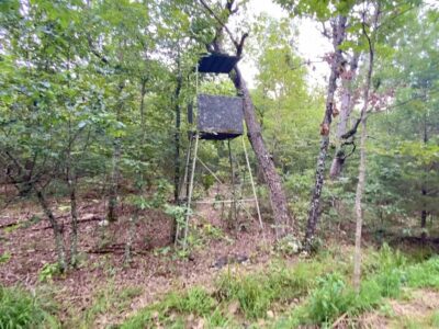 Owner Financed Hunting and Recreational Land in Missouri and Arkansas