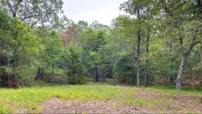 Owner Financed Hunting and Recreational Land in Missouri and Arkansas