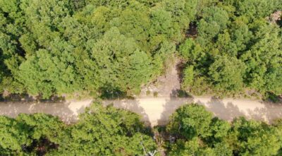Owner Financed Hunting and Recreational Land in Missouri and Arkansas