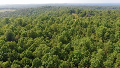 Owner Financed Hunting and Recreational Land in Missouri and Arkansas