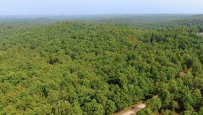Owner Financed Hunting and Recreational Land in Missouri and Arkansas