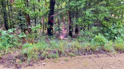 Owner Financed Hunting and Recreational Land in Missouri and Arkansas