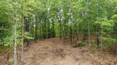 Owner Financed Hunting and Recreational Land in Missouri and Arkansas