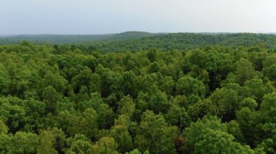 Owner Financed Hunting and Recreational Land in Missouri and Arkansas