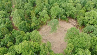 Owner Financed Hunting and Recreational Land in Missouri and Arkansas