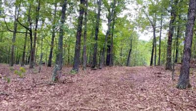 Owner Financed Hunting and Recreational Land in Missouri and Arkansas