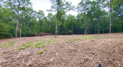 Owner Financed Hunting and Recreational Land in Missouri and Arkansas
