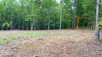 Owner Financed Hunting and Recreational Land in Missouri and Arkansas