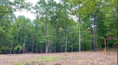 Owner Financed Hunting and Recreational Land in Missouri and Arkansas