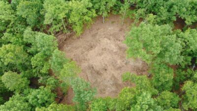 Owner Financed Hunting and Recreational Land in Missouri and Arkansas