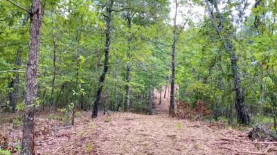 Owner Financed Hunting and Recreational Land in Missouri and Arkansas