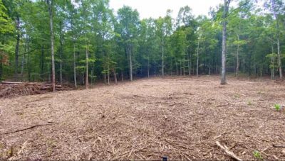 Owner Financed Hunting and Recreational Land in Missouri and Arkansas