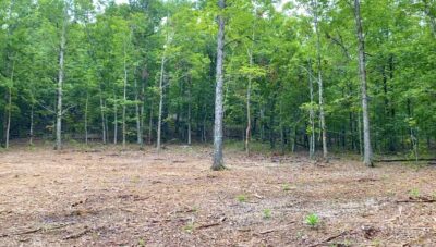 Owner Financed Hunting and Recreational Land in Missouri and Arkansas