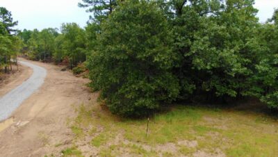 Owner Financed Hunting and Recreational Land in Missouri and Arkansas