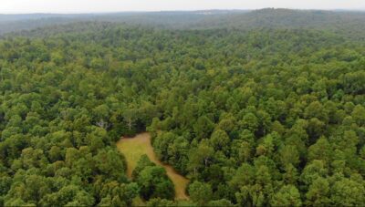 Owner Financed Hunting and Recreational Land in Missouri and Arkansas
