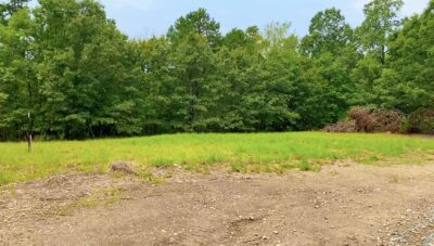 Owner Financed Hunting and Recreational Land in Missouri and Arkansas