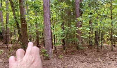 Owner Financed Hunting and Recreational Land in Missouri and Arkansas