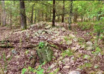 Owner Financed Hunting and Recreational Land in Missouri and Arkansas