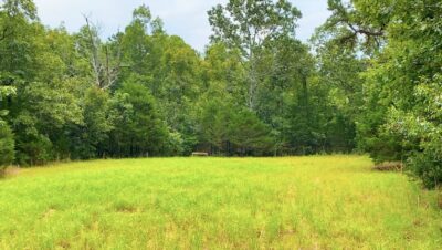 Owner Financed Hunting and Recreational Land in Missouri and Arkansas