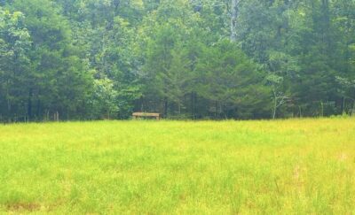 Owner Financed Hunting and Recreational Land in Missouri and Arkansas