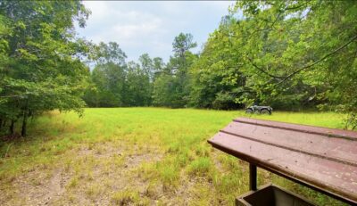 Owner Financed Hunting and Recreational Land in Missouri and Arkansas