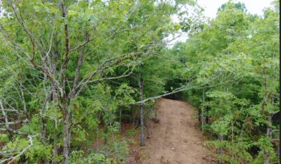 Owner Financed Hunting and Recreational Land in Missouri and Arkansas