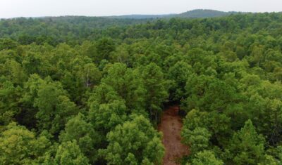 Owner Financed Hunting and Recreational Land in Missouri and Arkansas